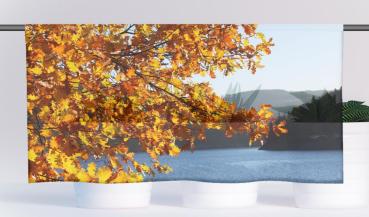 Herbst am See, Cafehaus Collection